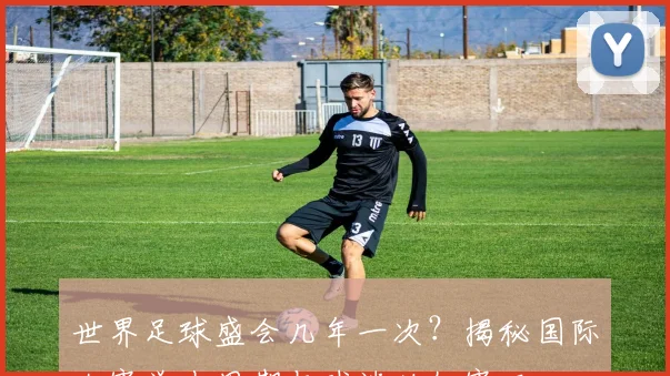 世界足球盛会几年一次？揭秘国际大赛举办周期与球迷必知赛历